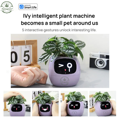 Plantagotchi™ Smart Plant Care